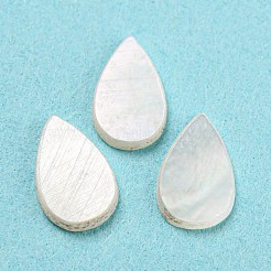 Natural Sea Shell Cabochons&nbsp;SHEL-D079-11