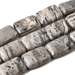 Natural Map Stone Beads Strands&nbsp;G-S386-A13