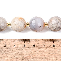 Natural Fossil Coral Beads Strands&nbsp;G-C249-A27-16MM