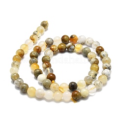 Natural Opal Beads Strands&nbsp;G-E576-12A