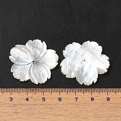 Natural White Shell Beads&nbsp;SHEL-M021-08B