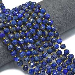 Dyed Natural Lapis Lazuli Beads Strands&nbsp;G-K389-E63-01