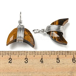 Natural Tiger Eye Copper Wire Wrapped Pendants&nbsp;G-B079-01P-01