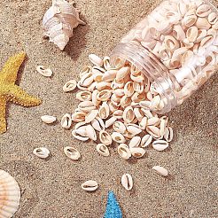 Mixed Cowrie Shell Beads&nbsp;BSHE-NB0001-08