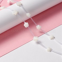 Natural Trochid Shell/Trochus Shell Beads Strands&nbsp;SSHEL-O001-21B