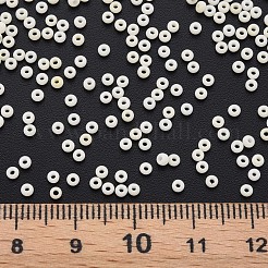 13/0 Glass Seed Beads&nbsp;SEED-T005-14A-A07