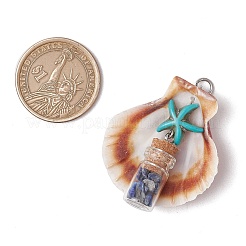 14Pcs 14 Styles Natural Scallop Shell Beads with Glass Jar Glass Bottles Stone Pendants&nbsp;PALLOY-JF03564