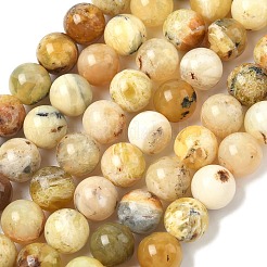 Natural Yellow Opal Beads Strands&nbsp;G-I213-18-10mm