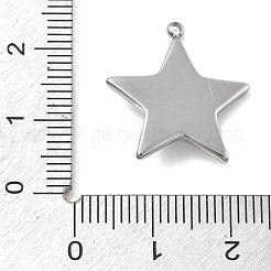 304 Stainless Steel Pendants&nbsp;STAS-Z121-02P