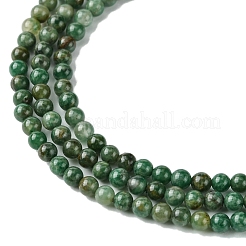 Natural African Jade Beads Strands&nbsp;G-K365-C08-01