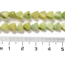 Natural Dolomite Beads Strands&nbsp;G-F765-H04-01