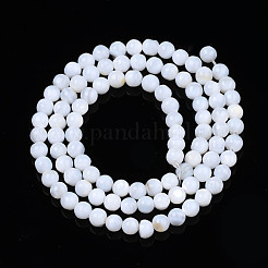 Natural Freshwater Shell Beads Strands&nbsp;SHEL-N003-24