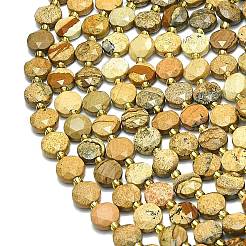 Natural Picture Jasper Beads Strands&nbsp;G-C116-A67-02