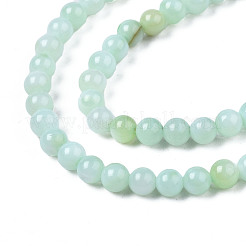 Natural Freshwater Shell Beads Strands&nbsp;BSHE-T009A-01D