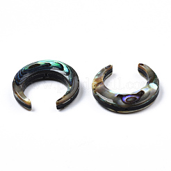 Natural Abalone Shell/Paua Shell Beads&nbsp;SSHEL-N034-122A-01