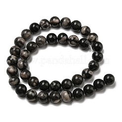 Natural Black Fossil Coral Beads Strands&nbsp;G-R494-A04-04