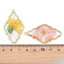 Alloy Resin Pendants&nbsp;RE-CBA591C-02G