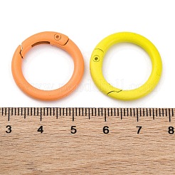 Spray Painted Alloy Spring Ring Clasps&nbsp;FIND-G084-01