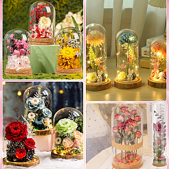 Glass Bell Jars&nbsp;AJEW-BC0010-64A