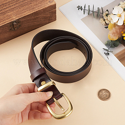 Cowhide Waist Belts&nbsp;AJEW-WH20070-229B