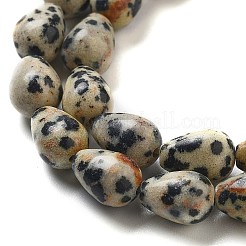 Natural Dalmatian Jasper Beads Strands&nbsp;G-B106-A29-01