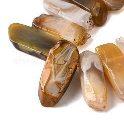 Natural Botswana Agate Beads Strands&nbsp;G-S386-D02