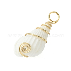 Natural Trumpet Shell Pendants&nbsp;PALLOY-JF02794-01