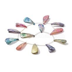 Natural Freshwater Shell Beads Strands&nbsp;BSHE-H018-08