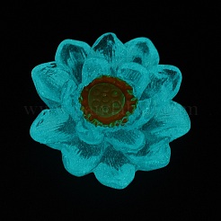 Luminous Transparent Resin Decoden Cabochons&nbsp;CRES-F032-B02