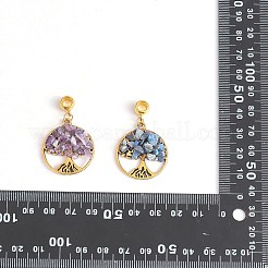 20Pcs 4 Styles Natural Mixed Stone Chip European Dangle Charms&nbsp;G-SZ0002-18