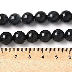 Natural Black Lip Shell Beads Strands&nbsp;SSHEL-C013-01D
