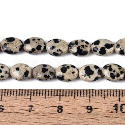 Natural Dalmatian Jasper Beads Strands&nbsp;G-T142-20