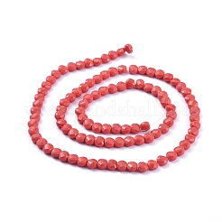 Glass Beads Strands&nbsp;EGLA-J149-B-01