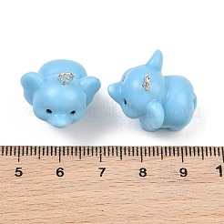 Opaque Resin Pendants&nbsp;RE-CBA0127-04