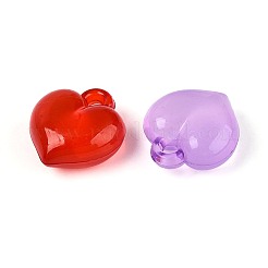 Transparent Acrylic Pendants&nbsp;TACR-T028-80M