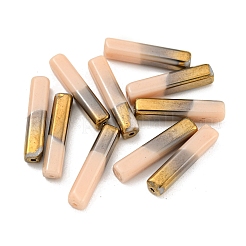 Electroplate Glass Beads&nbsp;LS-GLAA-D024-02C