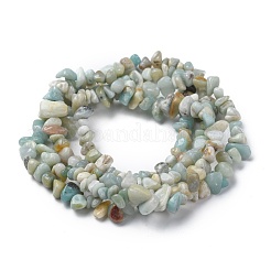 Natural Flower Amazonite Chips Beads Strands&nbsp;G-M205-12