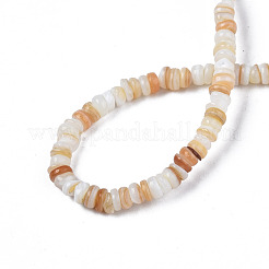 Natural Freshwater Shell Beads Strands&nbsp;SHEL-S278-067