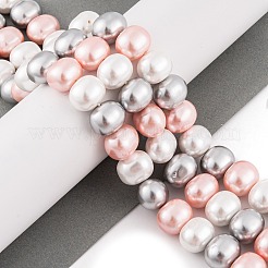 Shell Pearl Beads Strands&nbsp;BSHE-L035-E06