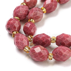 Natural Rhodonite Beads Strands&nbsp;G-N342-38