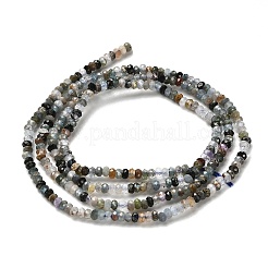 Natural Apatite Beads Strands&nbsp;G-RM2025-D08-A