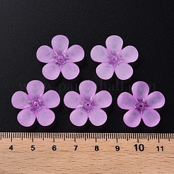 Transparent Acrylic Beads&nbsp;MACR-S373-116-D04