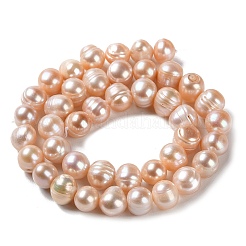 Natural Cultured Freshwater Pearl Beads Strands&nbsp;PEAR-E018-30