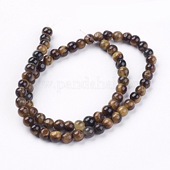 Natural Tiger Eye Round Bead Strands&nbsp;G-R200-6mm