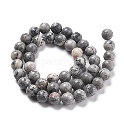 Natural Map Stone/Picasso Stone/Picasso Jasper Beads Strands&nbsp;G-G047-8mm