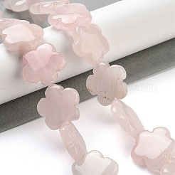 Natural Rose Quartz Beads Strands&nbsp;G-F769-X01-02