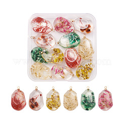 12Pcs 6 Colors Resin Pendants&nbsp;RESI-CD0001-08