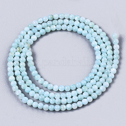 Natural Freshwater Shell Beads Strands&nbsp;X-BSHE-T009-01C
