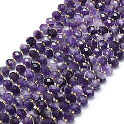 Natural Amethyst Beads Strands&nbsp;G-P573-A31-01