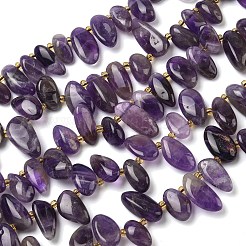 Natural Amethyst Beads Strands&nbsp;G-P604-A16-01